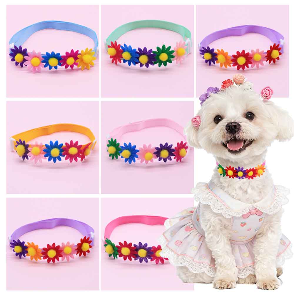 Pet Supplies Wholesale - 50 Pezzi Fiocchi Colorati per Cani,