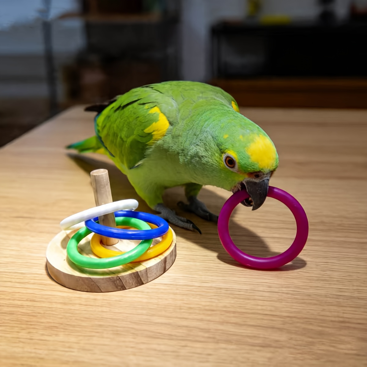 Pet Supplies Ringwood - Anelli Colorati Impilabili per Uccelli, Set