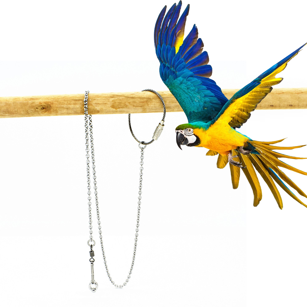 Pet Supplies Ringwood - 1 pz anello per gamba di