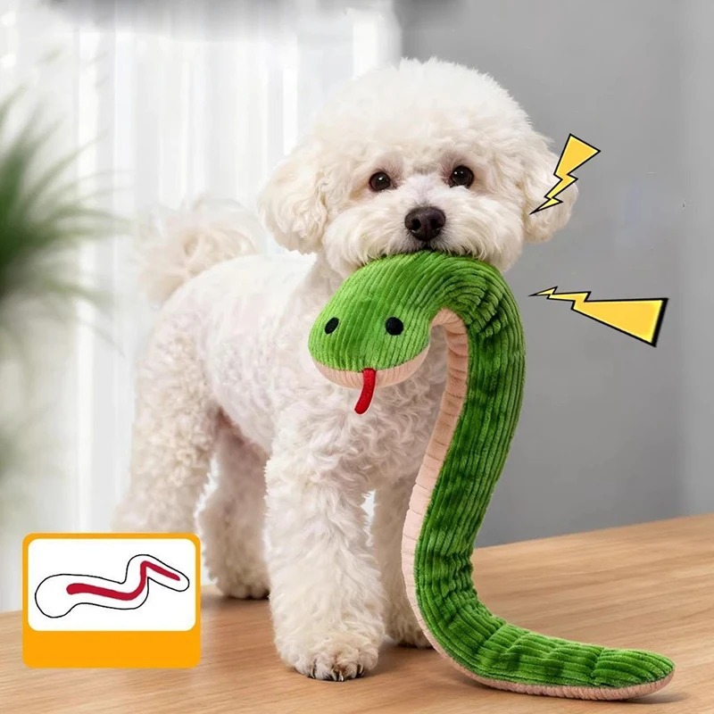 Giocattolo per Cani e Gatti da - Pet Dental Chew Toy recensione e prezzo