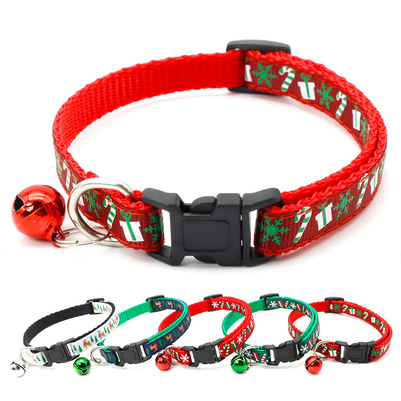 Collare per cani con fibbia di - Pet Supplies Wholesale recensione e prezzo