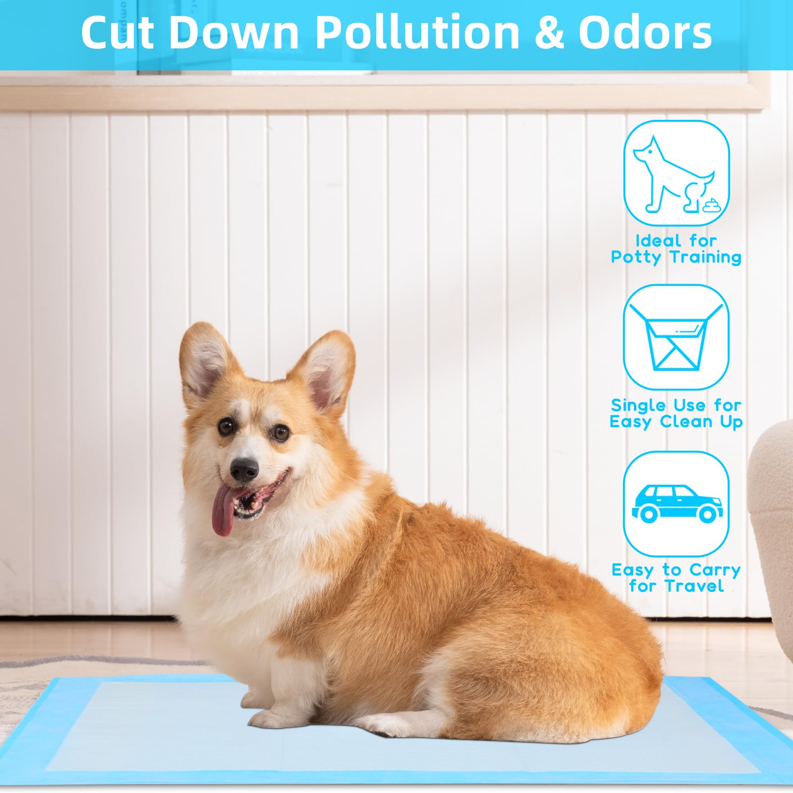 Cuscinetti per pipì a prova di - Pet Supplies Wholesale recensione e prezzo