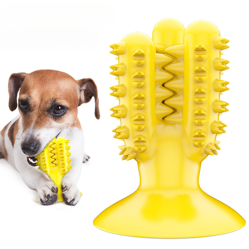 L'azienda all'ingrosso della f - Pet Supplies Wholesale recensione e prezzo