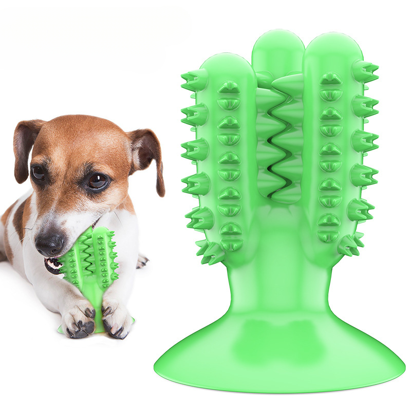 L'azienda all'ingrosso della f - Pet Supplies Wholesale recensione e prezzo