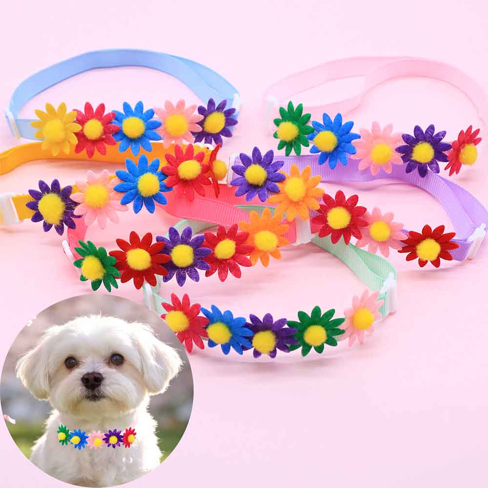 50 Pezzi Fiocchi Colorati per  - Pet Supplies Wholesale recensione e prezzo