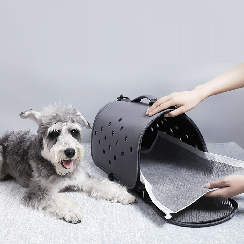 Cuscinetti pipì monouso per ad - Pet Supplies Wholesale recensione e prezzo