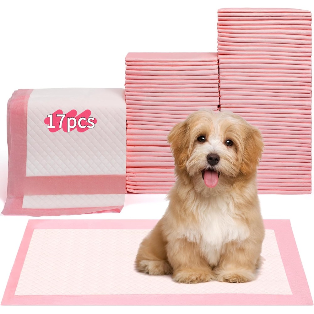 100/50/30/20/10 Pezzi Tappetin - Pet Supplies Wholesale recensione e prezzo