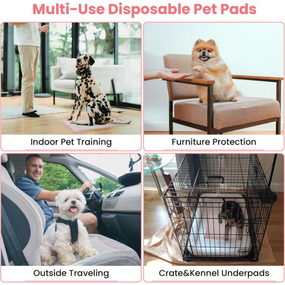 100/50/30/20/10 Pezzi Tappetin - Pet Supplies Wholesale recensione e prezzo