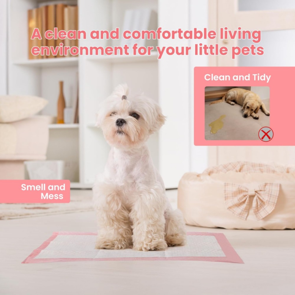 100/50/30/20/10 Pezzi Tappetin - Pet Supplies Wholesale recensione e prezzo