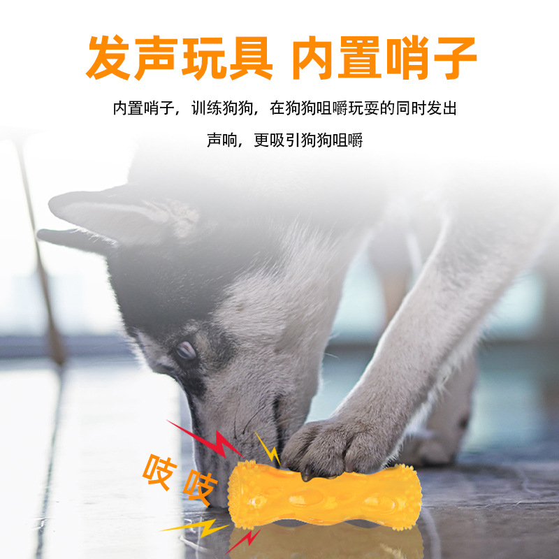 Giocattolo resistente ai morsi - Pet Dental Chew Toy recensione e prezzo