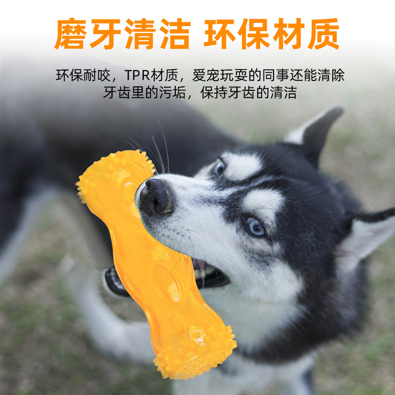 Giocattolo resistente ai morsi - Pet Dental Chew Toy recensione e prezzo