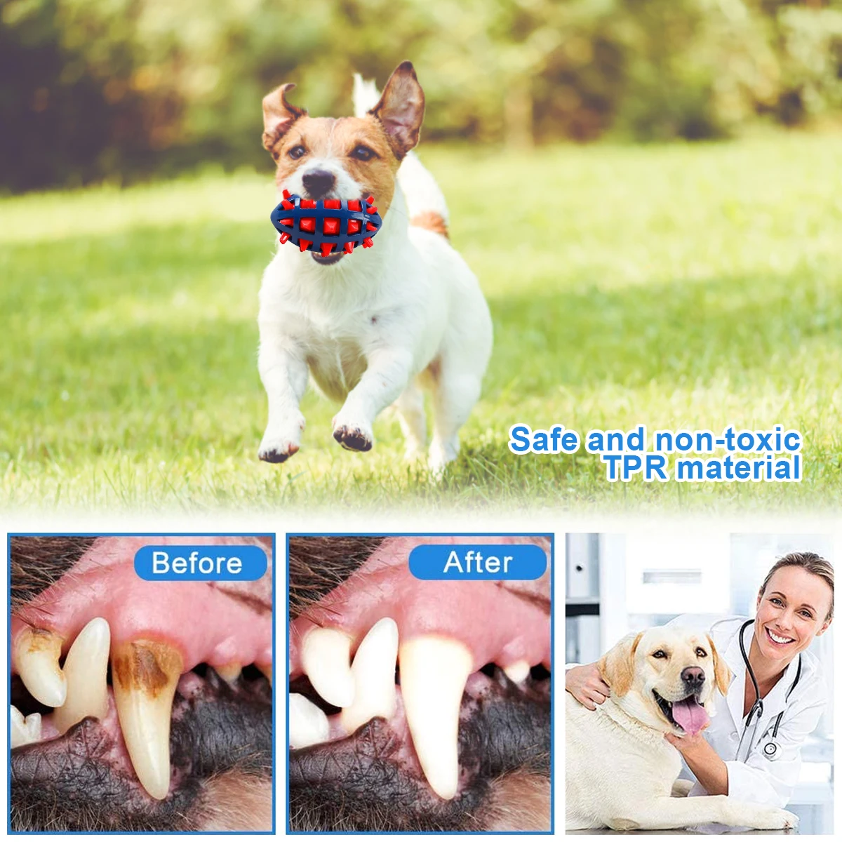 1/2Pcs giocattoli da masticare - Pet Dental Chew Toy recensione e prezzo
