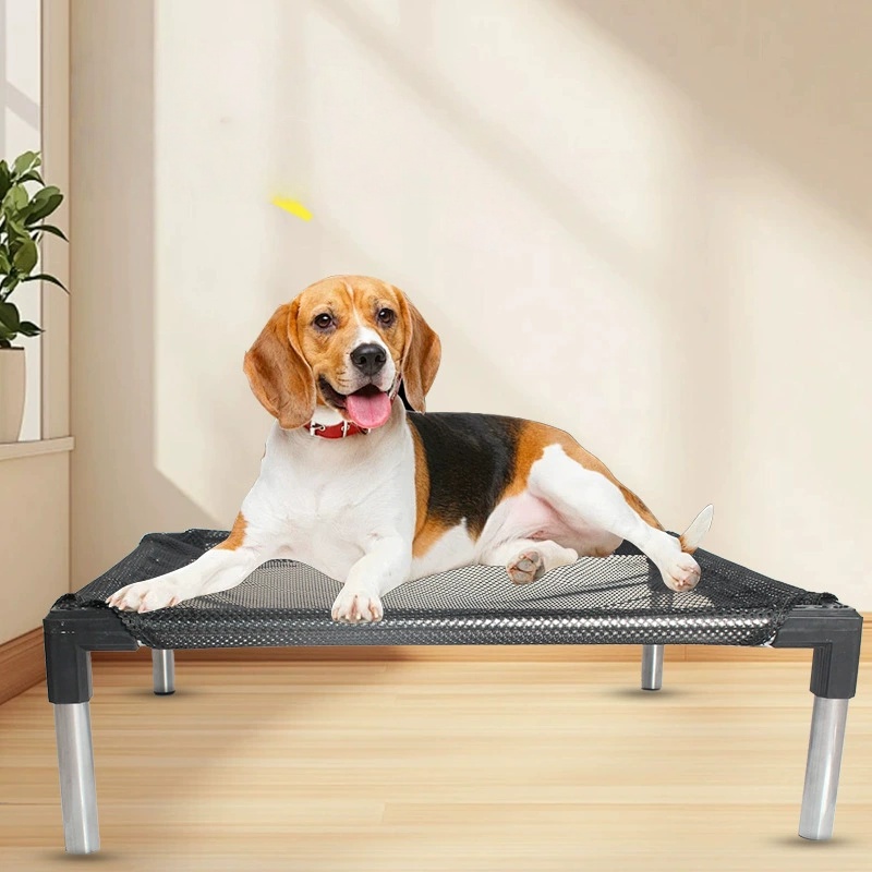 Letto per cani rialzato rinfre - Calming Dog Bed recensione e prezzo