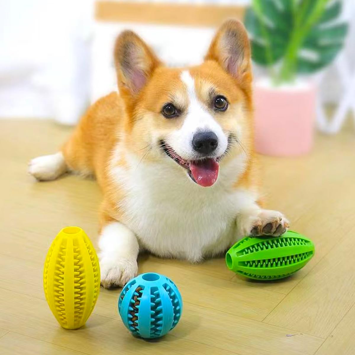Giocattoli da masticare per ca - Pet Dental Chew Toy recensione e prezzo