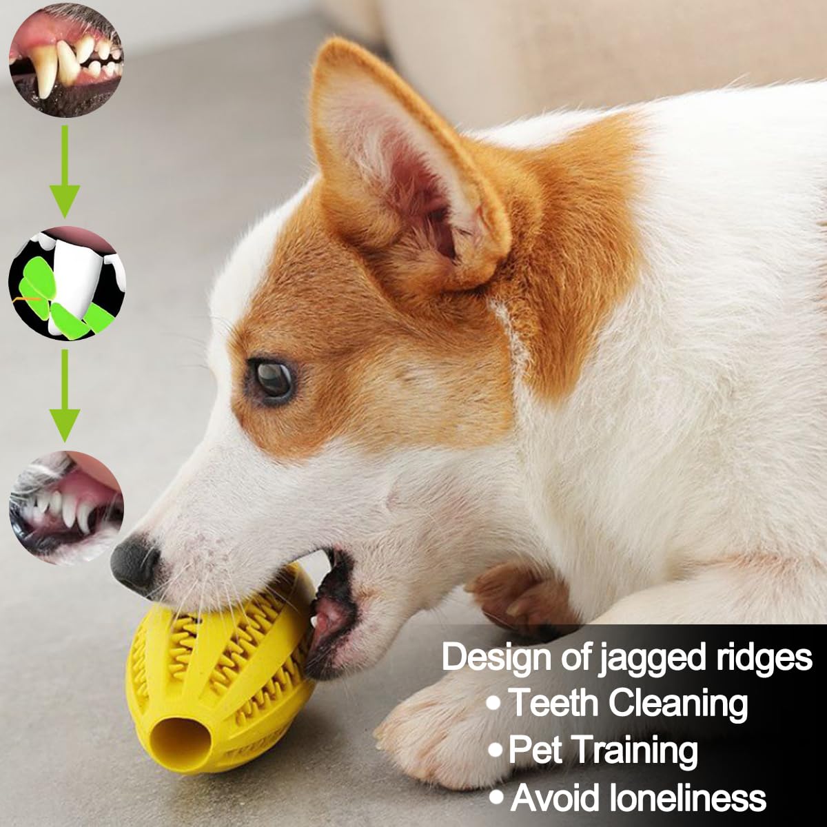 Giocattoli da masticare per ca - Pet Dental Chew Toy recensione e prezzo
