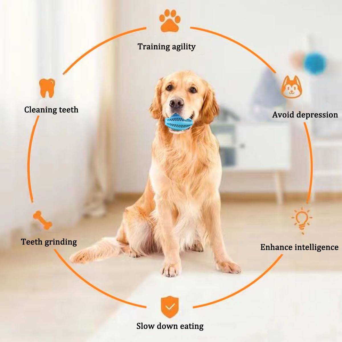 Giocattoli da masticare per ca - Pet Dental Chew Toy recensione e prezzo