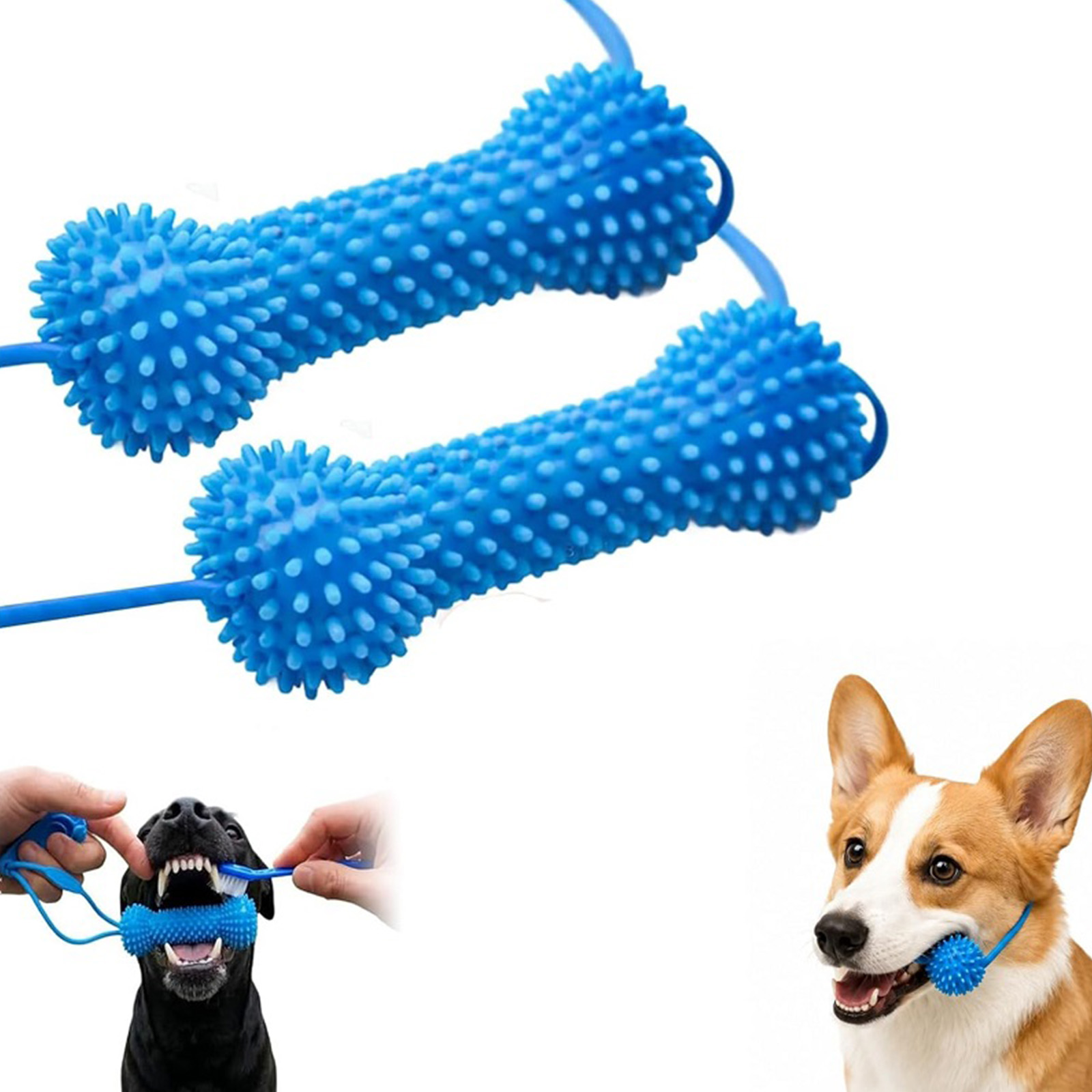 Giocattoli da masticare per ca - Pet Dental Chew Toy recensione e prezzo