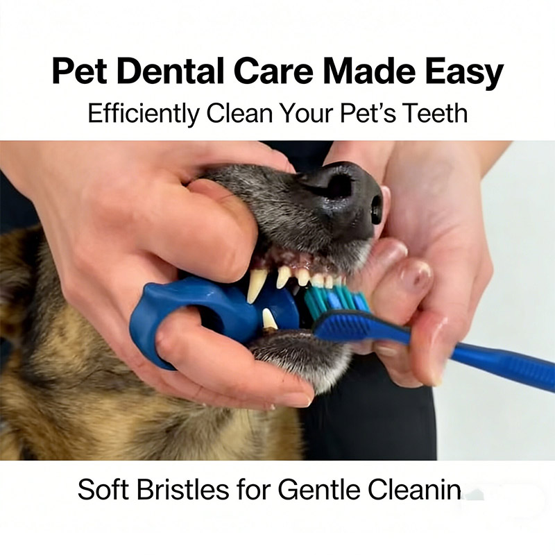 Nuovo Spazzolino da Denti in S - Pet Dental Chew Toy recensione e prezzo