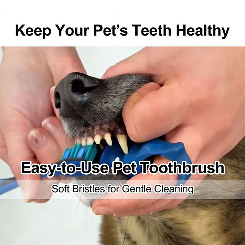 Nuovo Spazzolino da Denti in S - Pet Dental Chew Toy recensione e prezzo