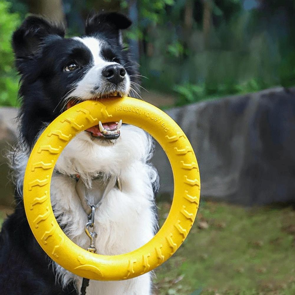 Anelli Giocattolo per Cani Ind - Pet Dental Chew Toy recensione e prezzo