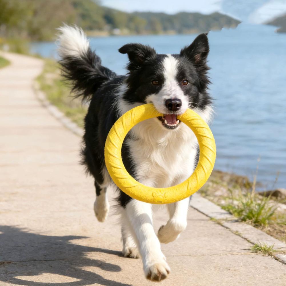 Anelli Giocattolo per Cani Ind - Pet Dental Chew Toy recensione e prezzo