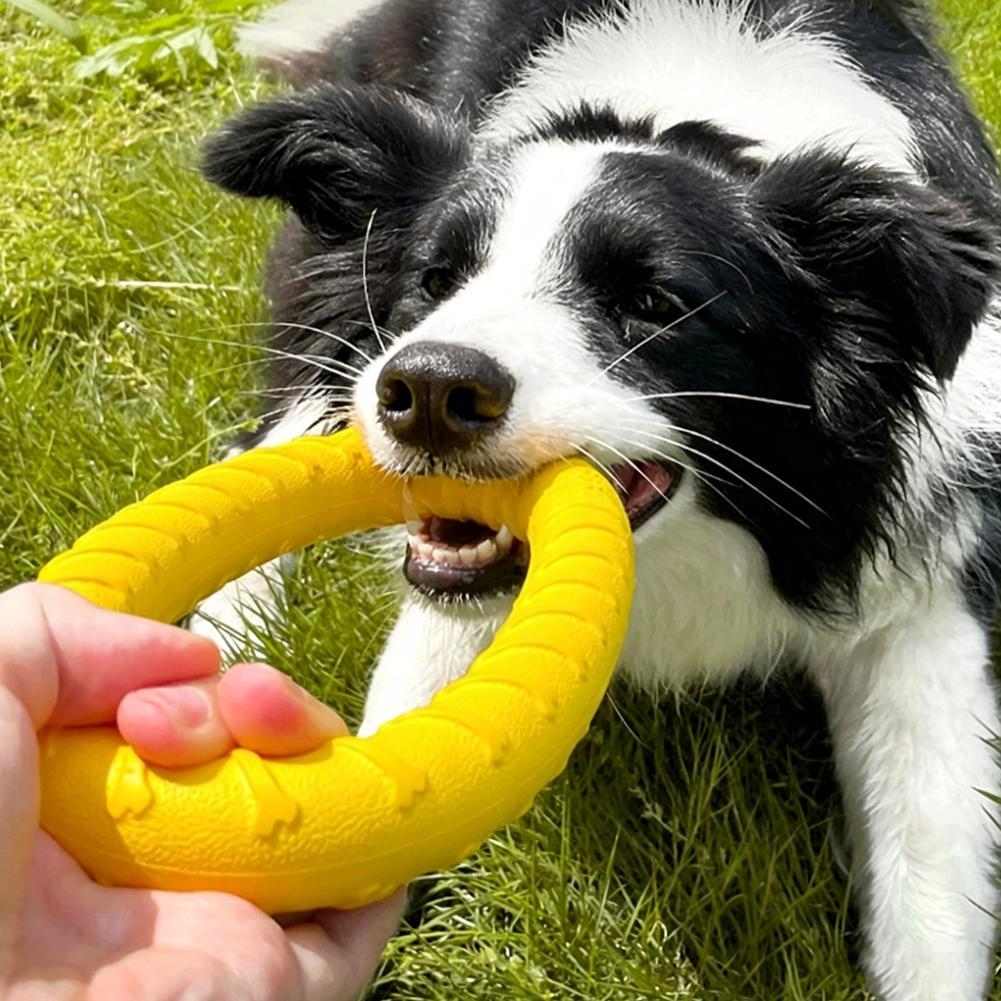 Anelli Giocattolo per Cani Ind - Pet Dental Chew Toy recensione e prezzo