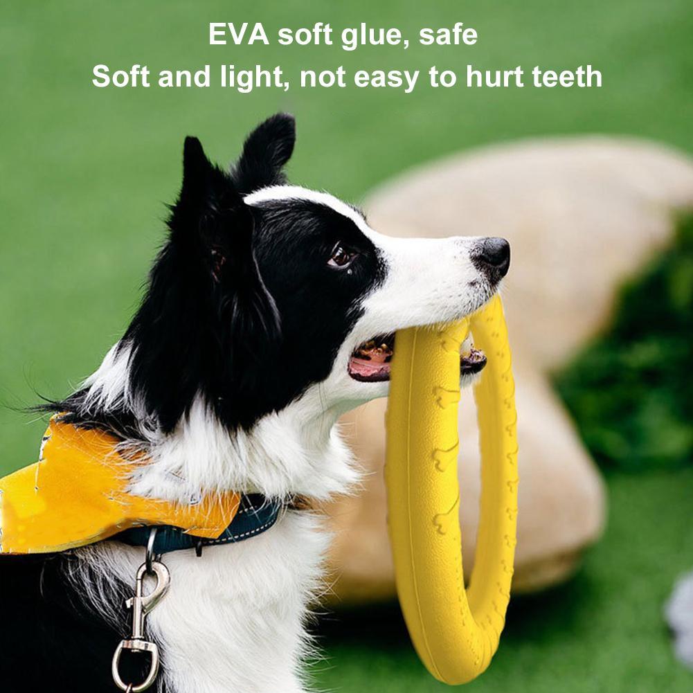 Anelli Giocattolo per Cani Ind - Pet Dental Chew Toy recensione e prezzo